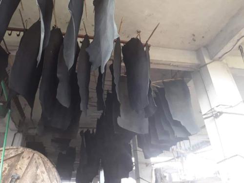 WhatsApp-Image-2024-11-19-at-11.38.32-AM