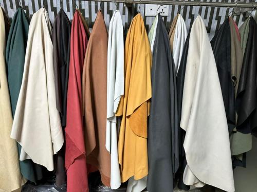 WhatsApp-Image-2024-11-19-at-11.39.29-AM-1