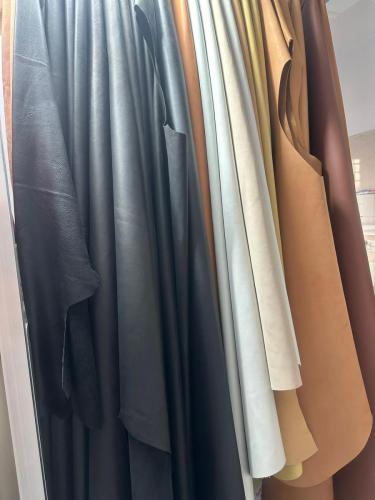 WhatsApp-Image-2024-11-19-at-11.39.29-AM