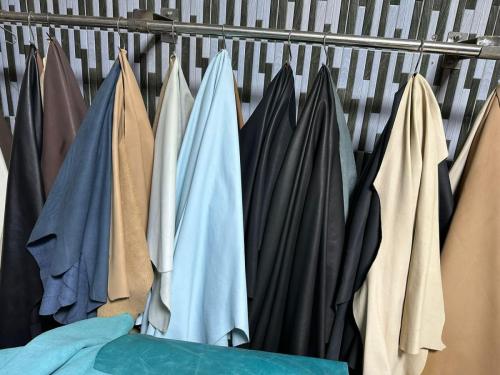 WhatsApp-Image-2024-11-19-at-11.39.30-AM-1