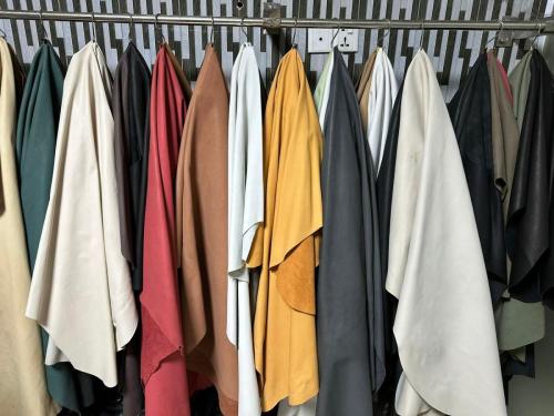 WhatsApp-Image-2024-11-19-at-11.39.30-AM