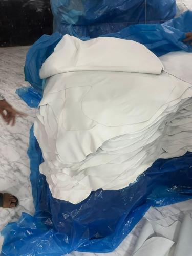 WhatsApp-Image-2024-11-19-at-11.39.32-AM