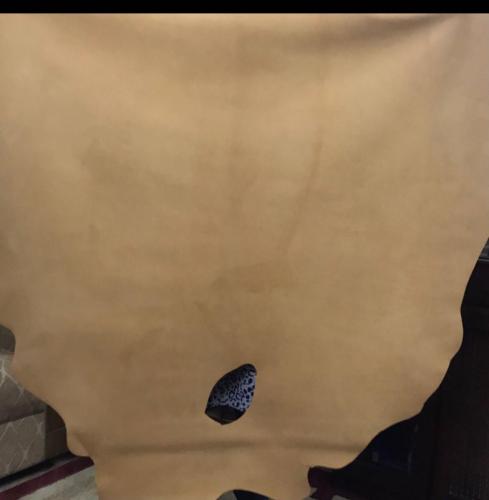 WhatsApp-Image-2024-11-19-at-11.39.33-AM