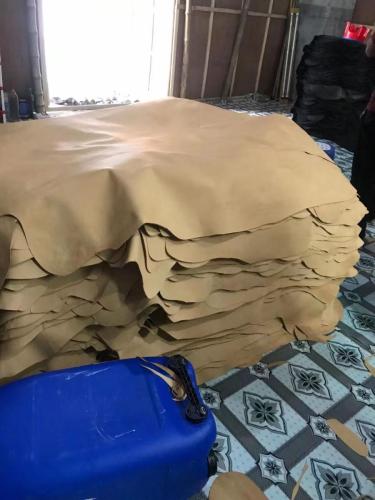 WhatsApp-Image-2024-11-19-at-11.39.34-AM-3