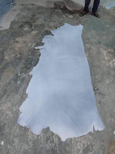 WhatsApp-Image-2024-11-19-at-11.39.35-AM-1