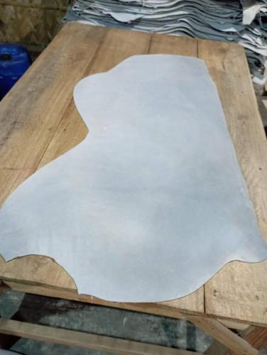 WhatsApp-Image-2024-11-19-at-11.39.35-AM-2