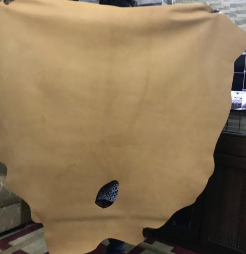 WhatsApp-Image-2024-11-19-at-11.39.36-AM