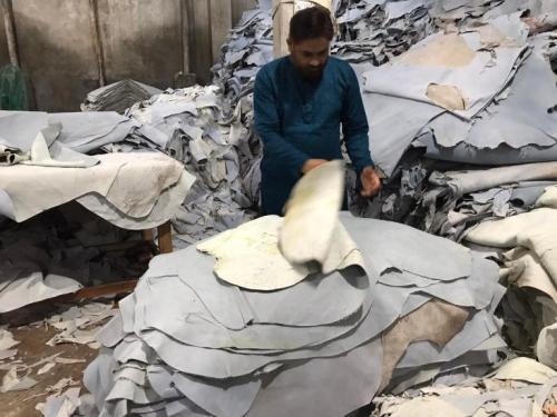 trustandtradebd-6-768x576