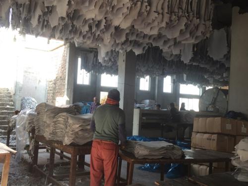 Goat-Trust-and-Trade-11