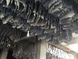 Goat-Trust-and-Trade-12-300x225