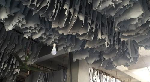 Goat-Trust-and-Trade-12-600x330