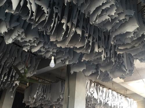 Goat-Trust-and-Trade-12