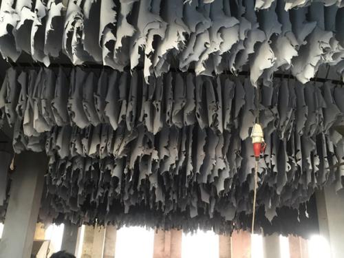 Goat-Trust-and-Trade-14