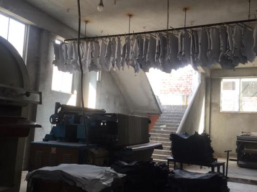 Goat-Trust-and-Trade-15