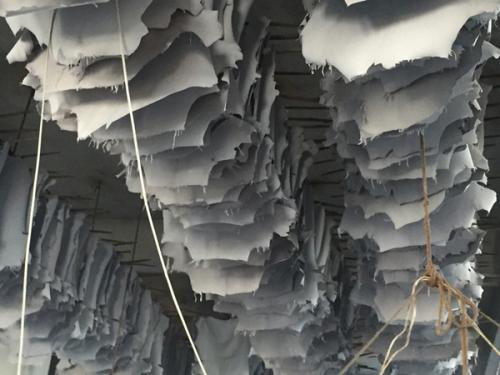 Goat-Trust-and-Trade-18