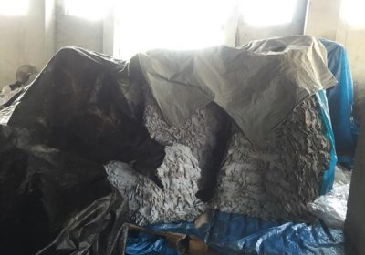 Goat-Trust-and-Trade-20-400x280