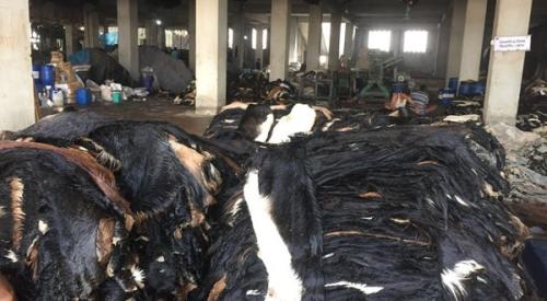 Goat-Trust-and-Trade-22-600x330