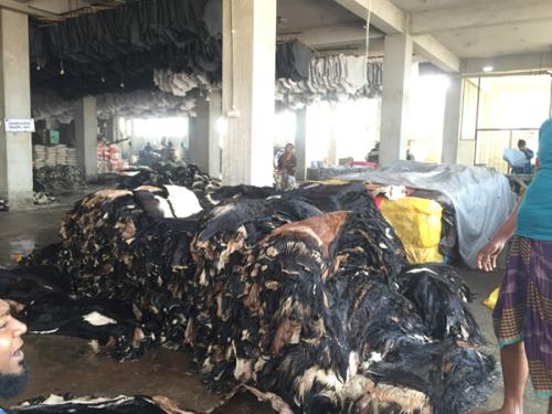 Goat-Trust-and-Trade-26