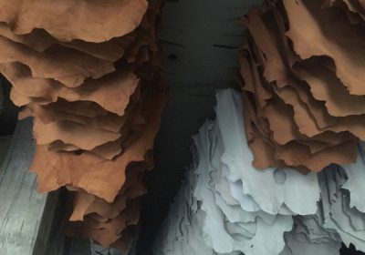 Goat-Trust-and-Trade-28-400x280