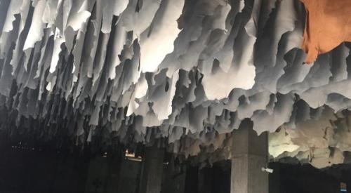 Goat-Trust-and-Trade-29-600x330