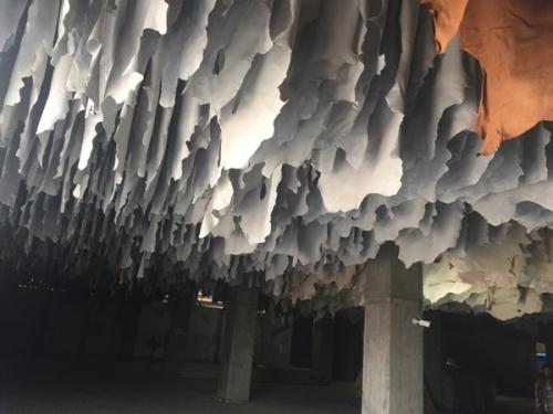 Goat-Trust-and-Trade-29