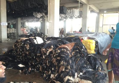 Goat-Trust-and-Trade-8-400x280