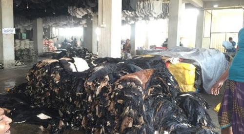 Goat-Trust-and-Trade-8-600x330