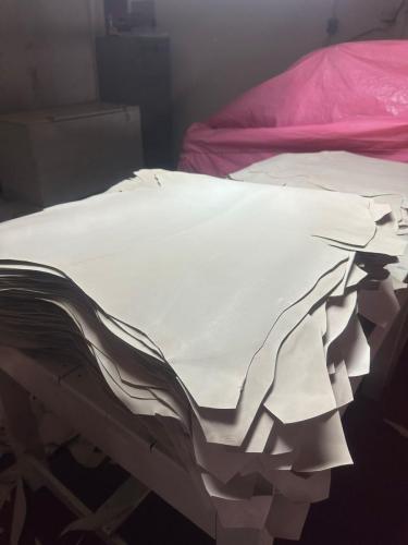 WhatsApp-Image-2024-11-19-at-11.39.06-AM-2