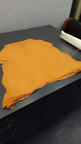 WhatsApp-Image-2024-11-19-at-11.39.07-AM-1