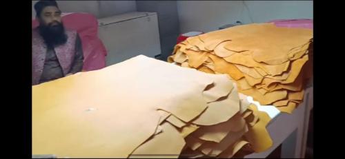 WhatsApp-Image-2024-11-19-at-11.39.07-AM-2