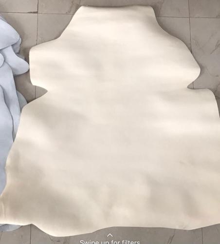 WhatsApp-Image-2024-11-19-at-11.39.08-AM-2