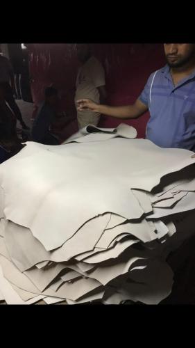 WhatsApp-Image-2024-11-19-at-11.39.09-AM-1