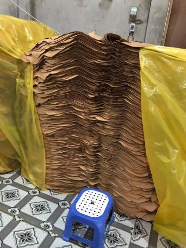 WhatsApp-Image-2024-11-19-at-11.39.10-AM-1