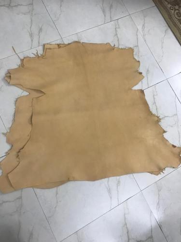 WhatsApp-Image-2024-11-19-at-11.39.10-AM