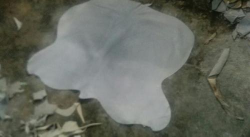 Split-Trust-and-Trade-1-600x330