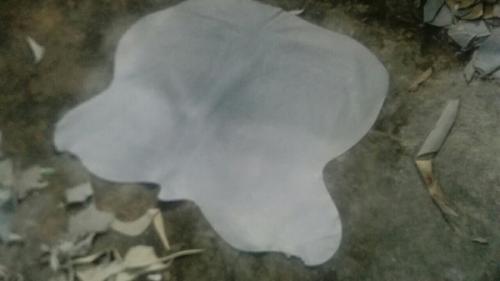 Split-Trust-and-Trade-1